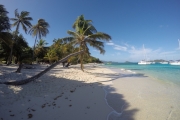 DCIM100GOPROGOPR0182.