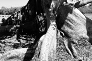 619234C8-0154-47FD-A7F7-29F831BFA0C5